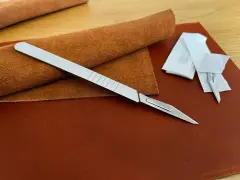 Skalpell (mit 10 Klingen)   02